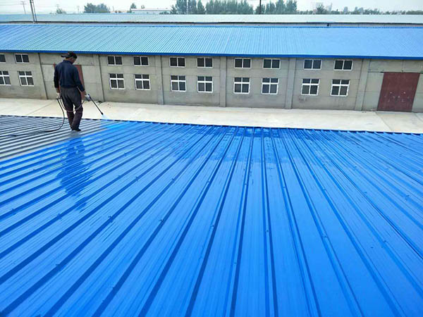 武定 彩钢瓦喷漆翻新工业厂房、仓库